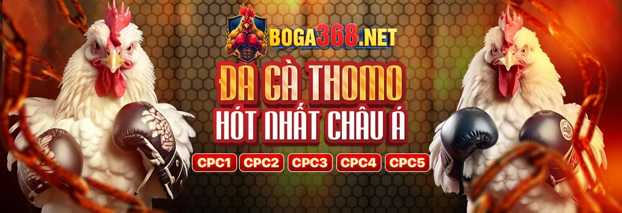 Hỗ Trợ Khách Hàng 24/7 của MG188 App